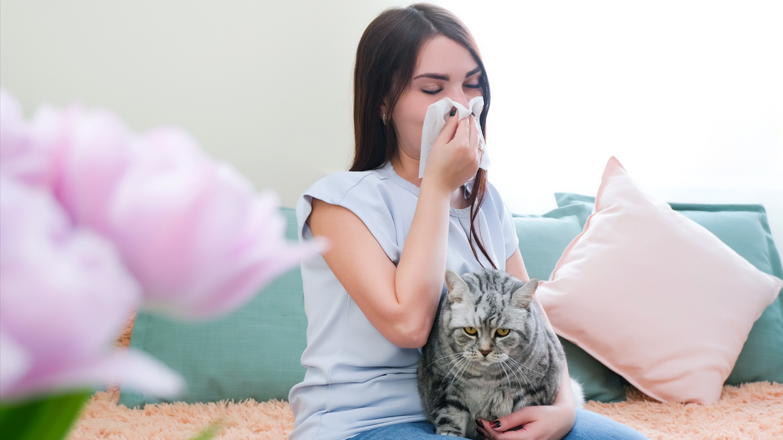 Jak se zbavit alergie na kočky (A jde to vůbec?)