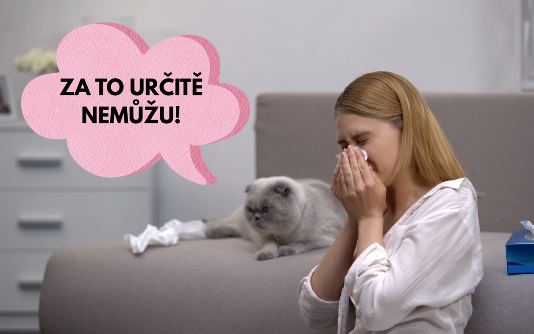 Jak se zbavit alergie na kočky (A jde to vůbec?)