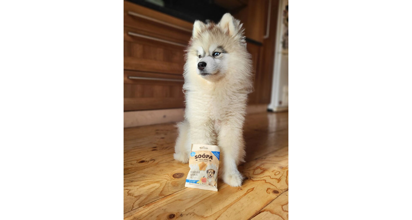 Dentální tyčinky Soopa Puppy s banánem a dýní 100 g