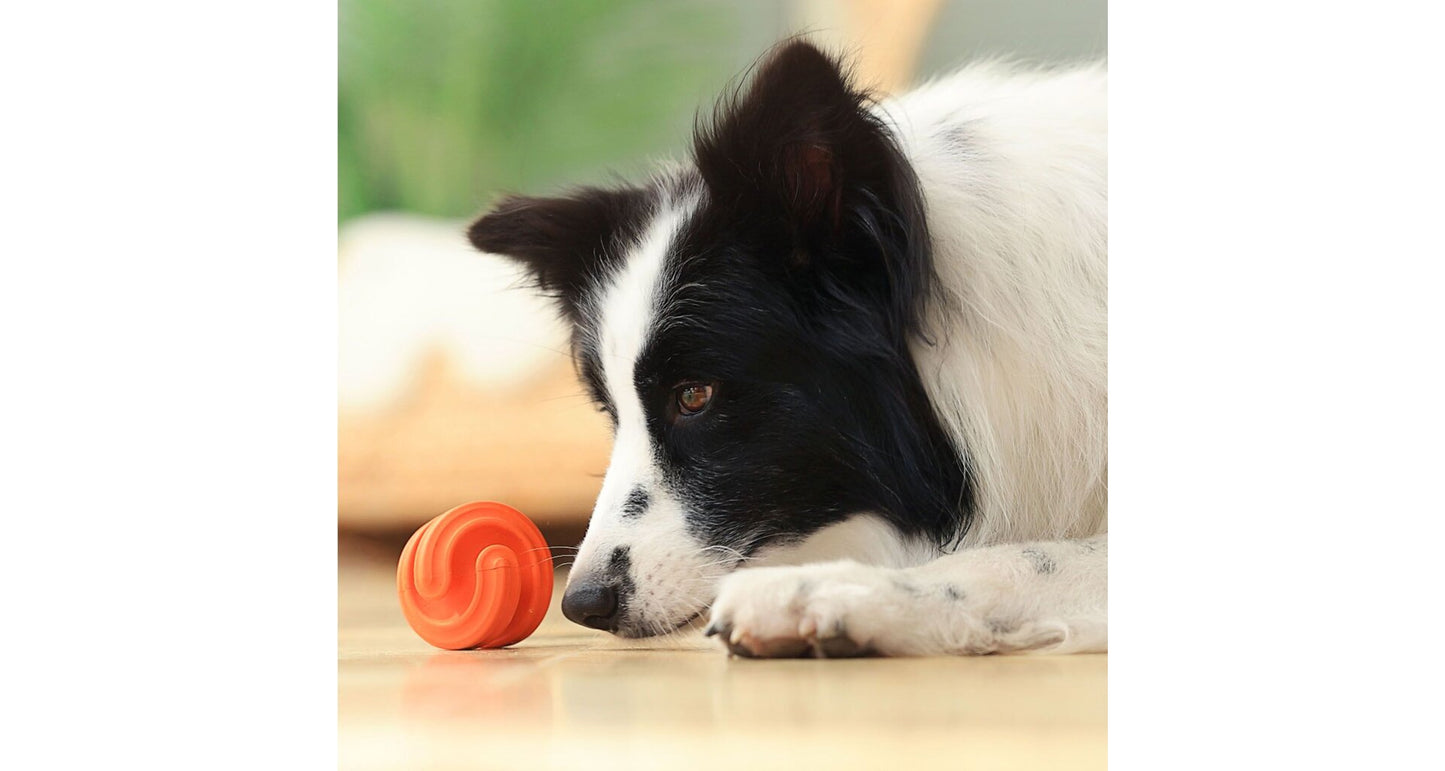 Petdreamhouse Chewtastic Geometrics Geo-Hex – oranžová