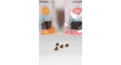 Yogupet Snack pro psy – s lososem a kefírem 100 g