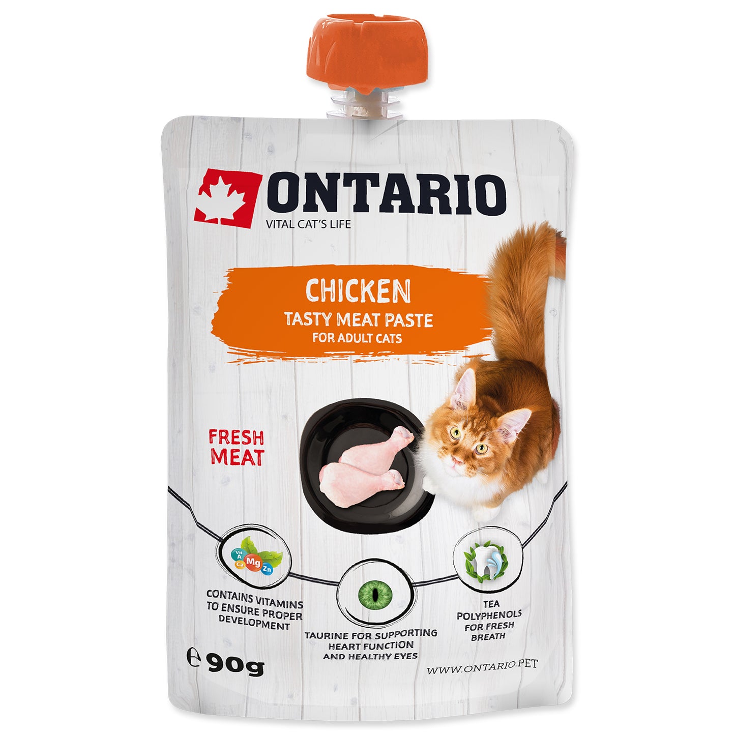 Pasta ONTARIO Kuřecí 90 g