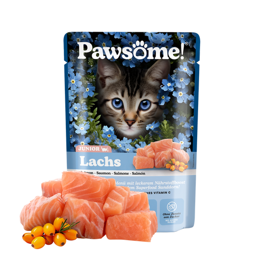 Pawsome! Junior s lososem 85 g