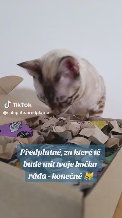 Měsíční kočičí předplatné